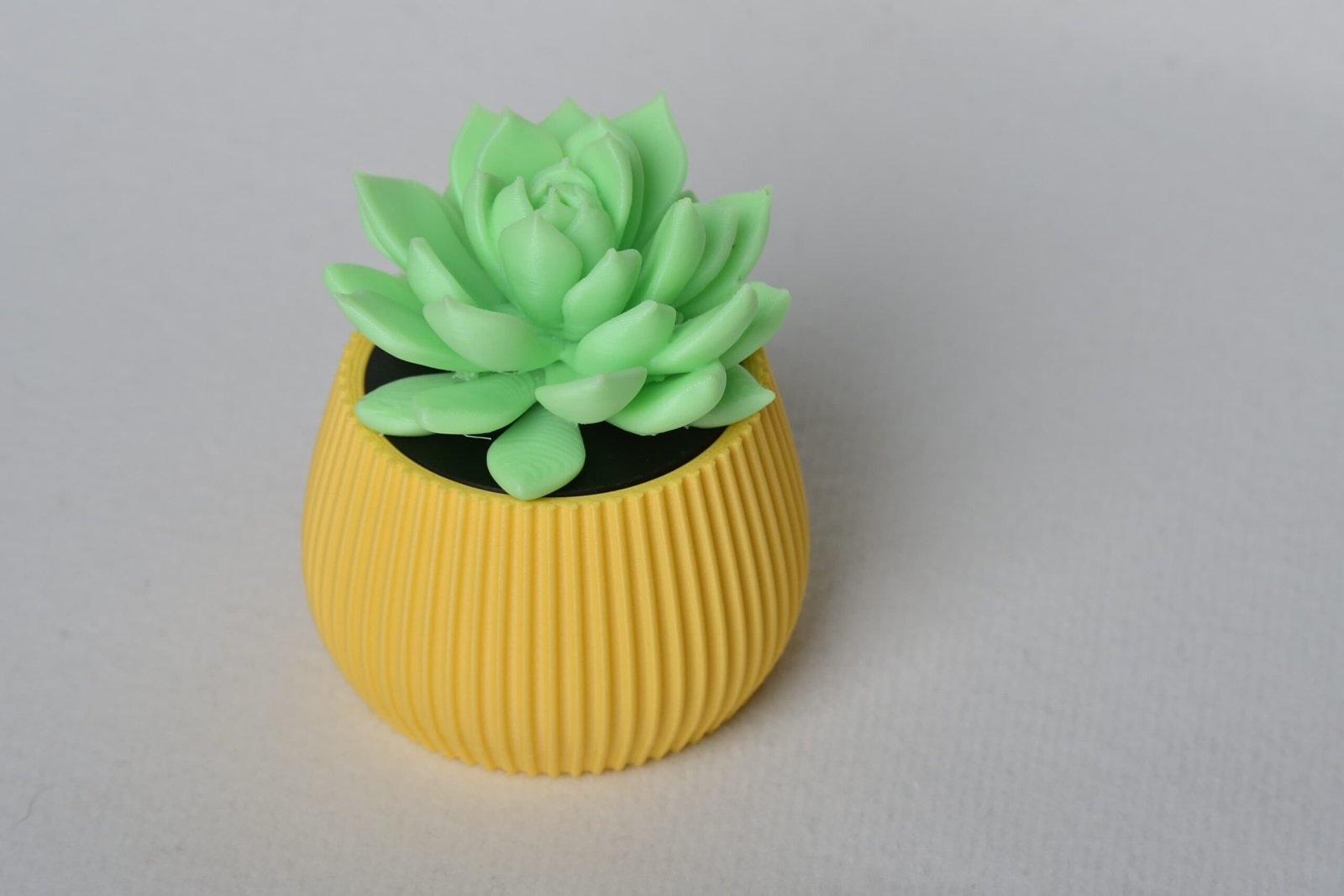 LED Succulent Night Lamp